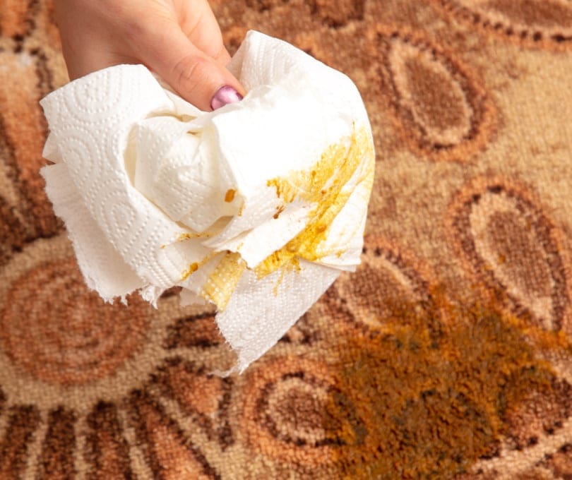 How to Remove Pet Stains From Oriental Rugs 5 Effective Methods PangoVet