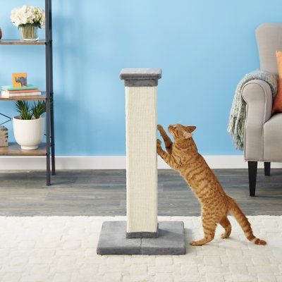 cat scratching on Frisco 33.5-in Sisal Cat Scratching Post