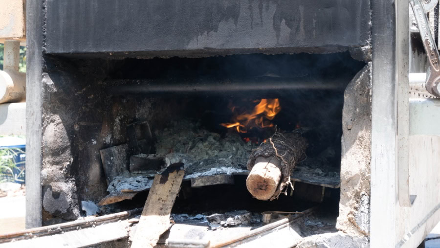 How Much Does It Cost to Cremate a Cat? 2024 Price Guide PangoVet