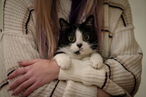 cropped female owner hugging her black and white cat