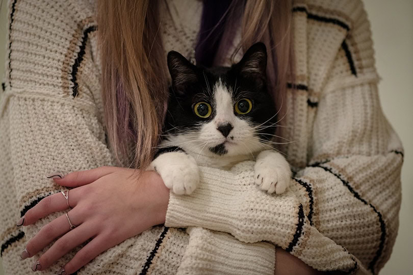 cropped female owner hugging her black and white cat