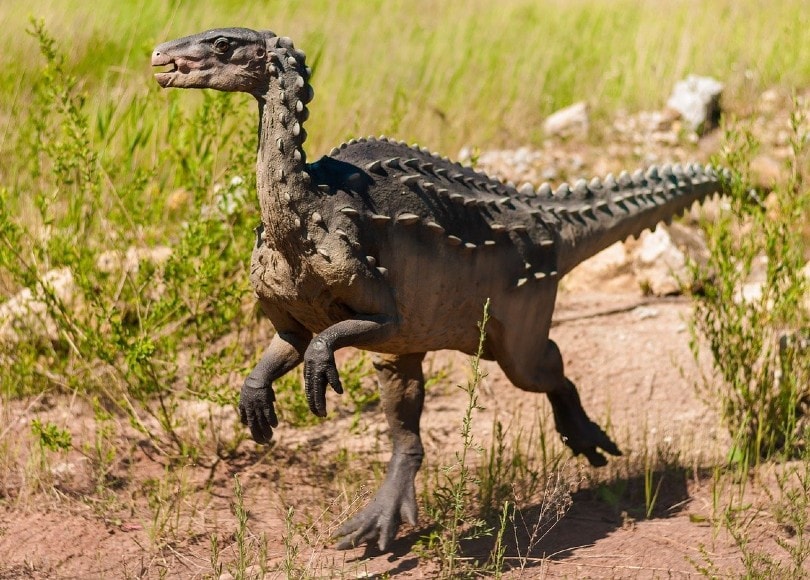 What Species Is the Closest Living Relative to Dinosaurs? The