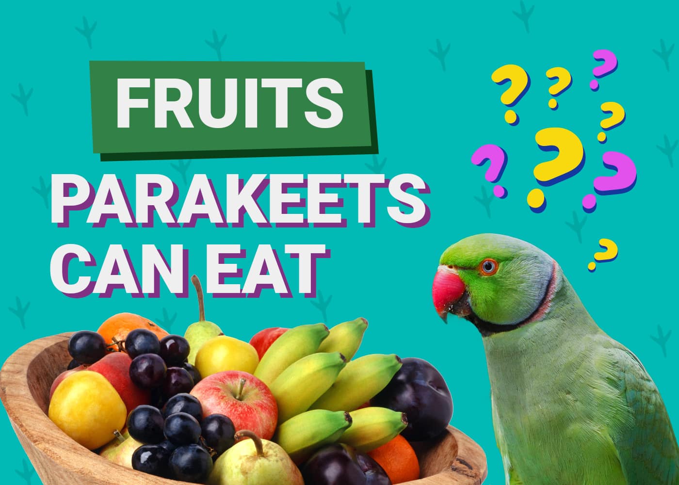 What Fruits Can Parakeets Eat? 20 Vet-Verified Options | PangoVet