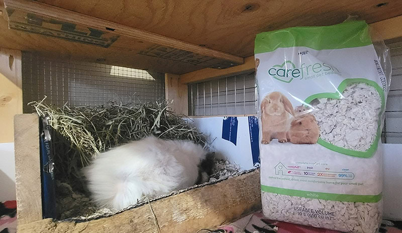 Fresh Pet Carefresh 99% Dust-Free Small Pet Bedding Natural