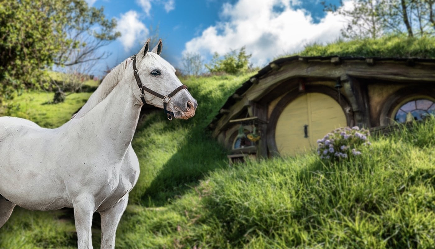 Lord of the Rings Horse 2