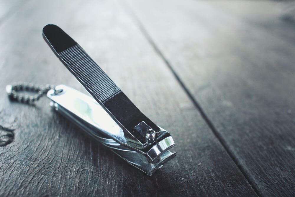 Can You Cut a Dog’s Nails With Human Clippers? VetApproved Tips