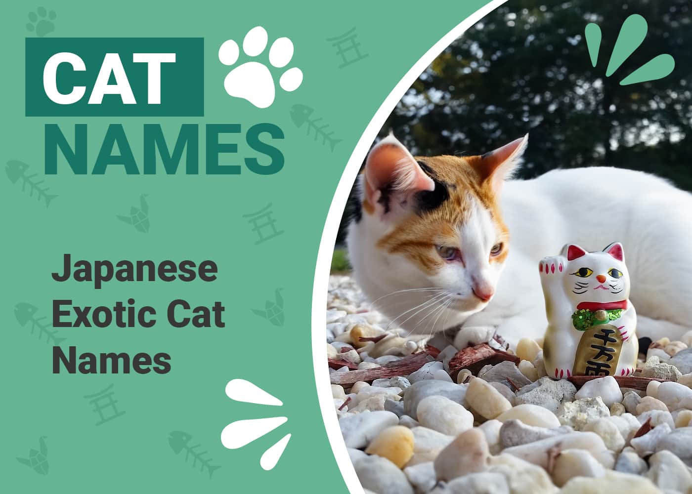 170+ Japanese Cat Names Exotic Options for Your Cat PangoVet