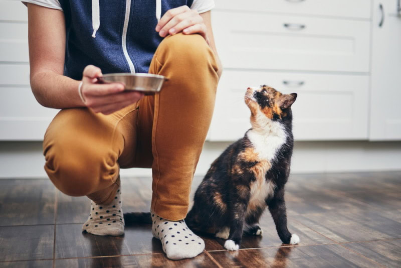 man holding cat food bowl