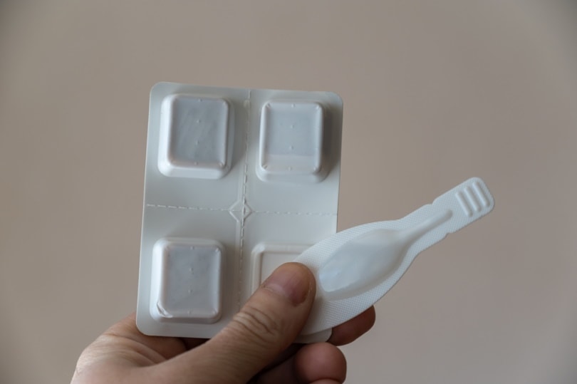 Does Pet Insurance Cover Flea & Tick Medication? Preventive Care Tips