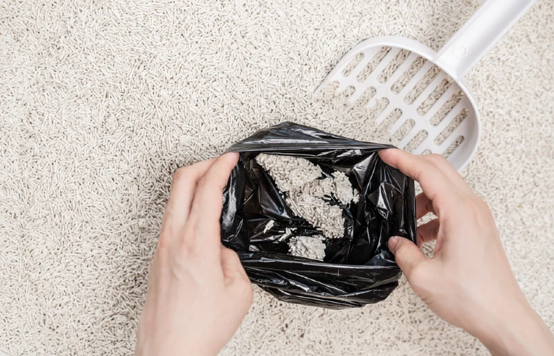 Can You Compost Cat Litter? VetVerified Facts & FAQ PangoVet