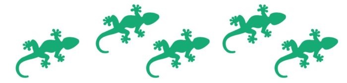 divider- gecko