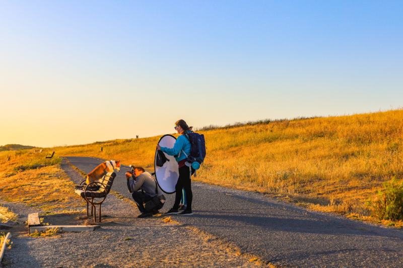 photographer taking photos of a dog