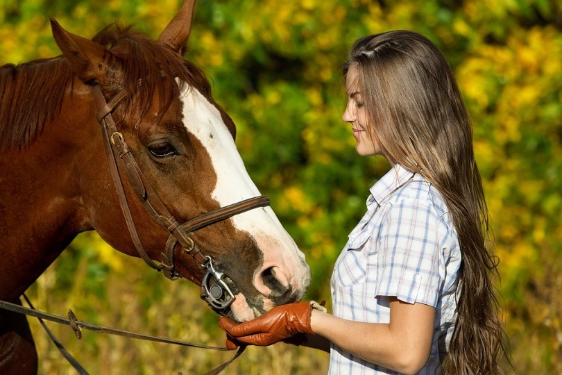 pretty-young-woman-with-a-browne-horse