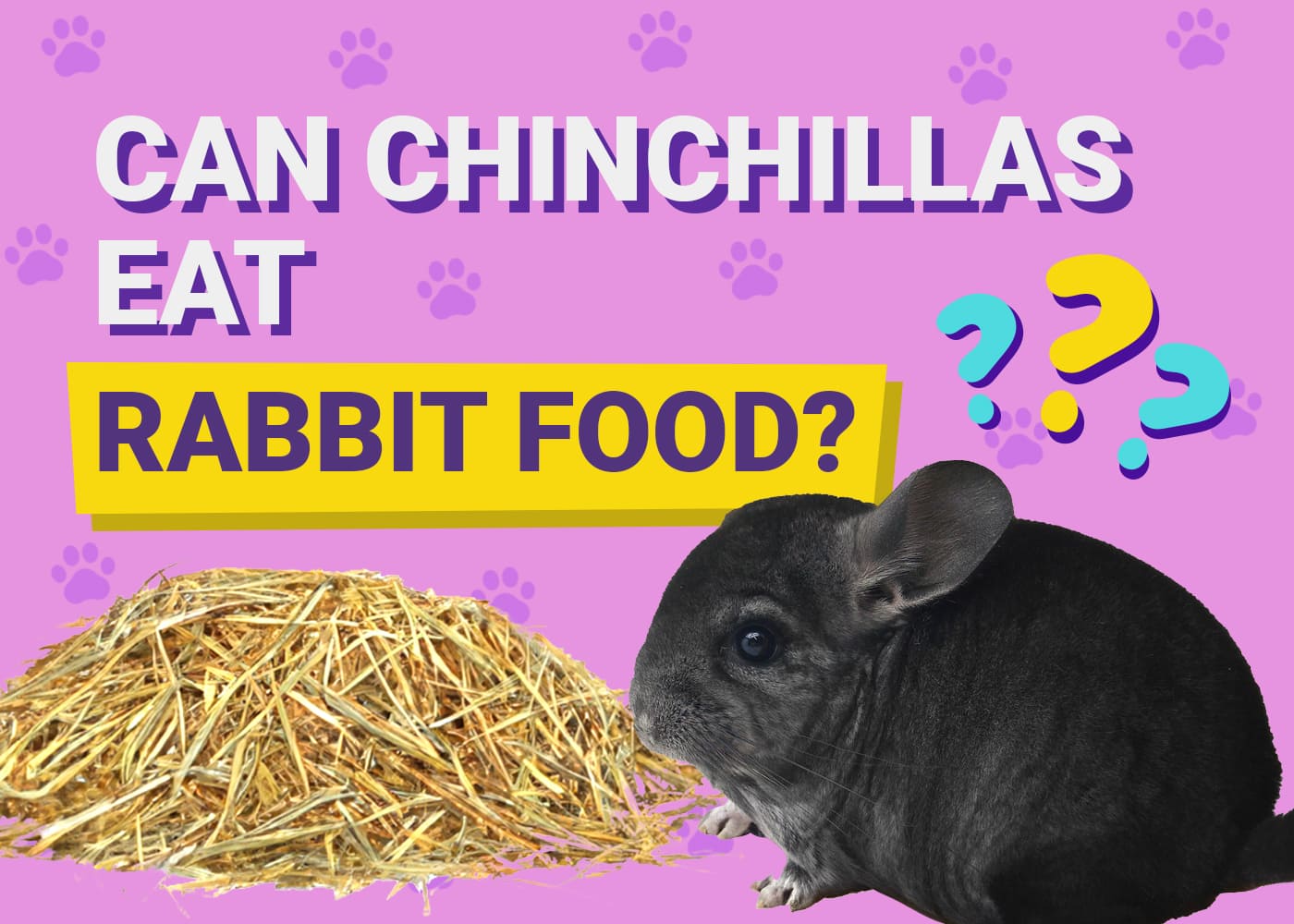 Can Chinchillas Eat Rabbit Food? Essential Facts You Need to Know