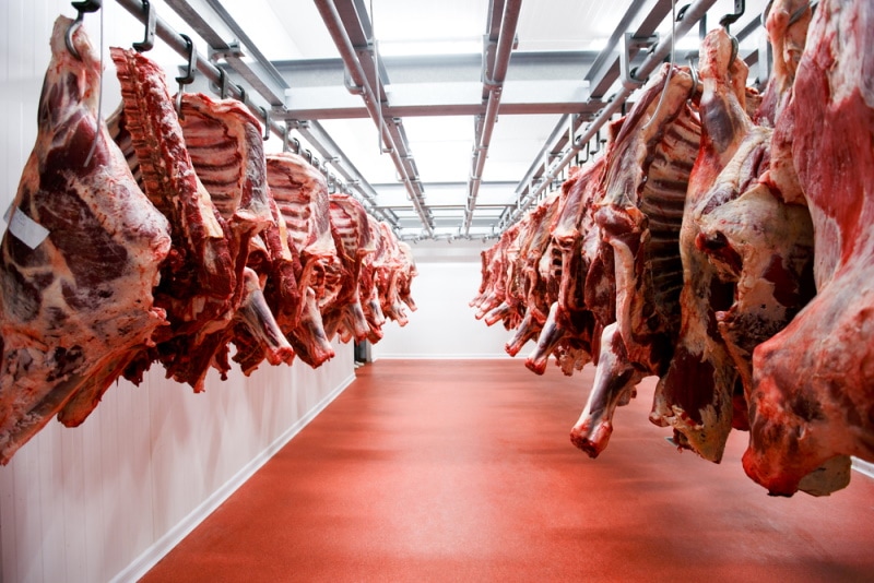 raw meat in cold storage