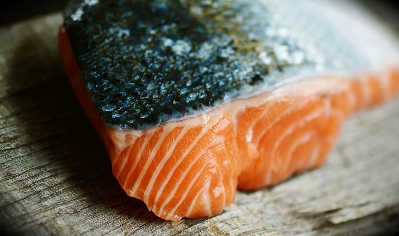 salmon skin