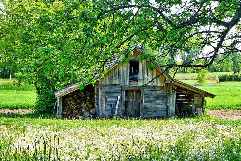 shed in a countryside