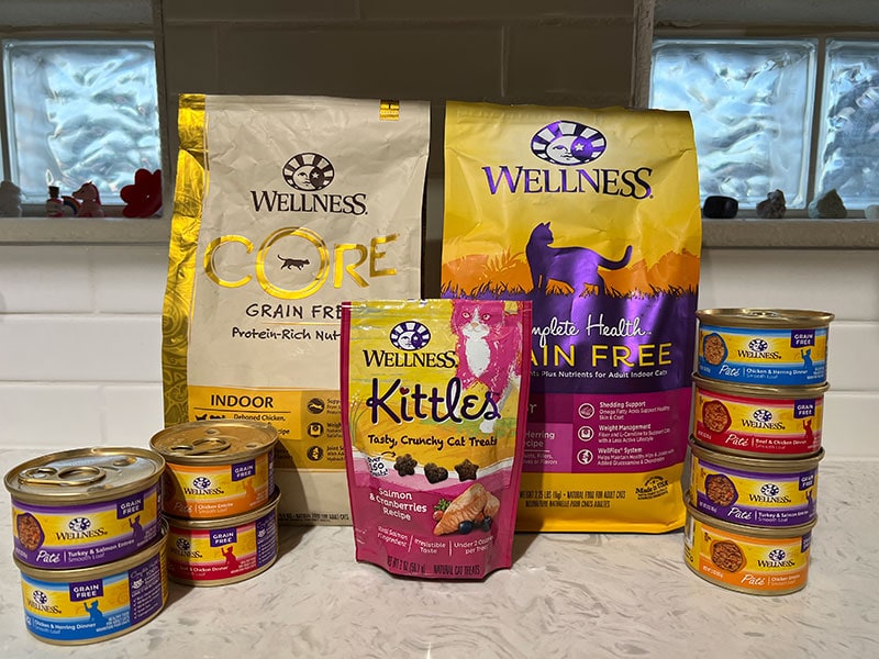 Wellness Cat Food Review 2024 Recalls, Pros & Cons PangoVet