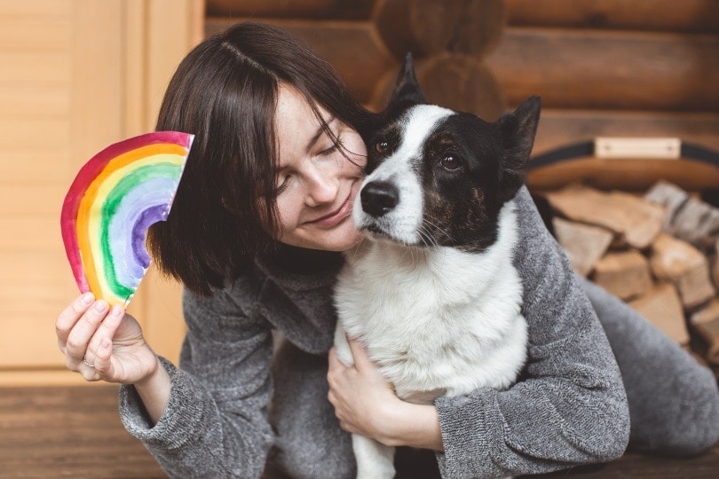 welsh corgi cardigan dog and his owner