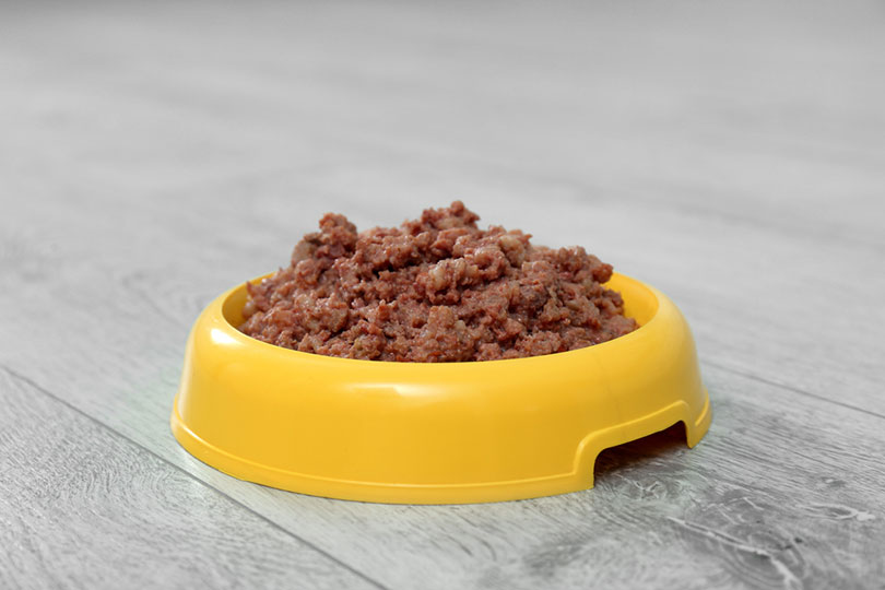 How Much Wet Food Should You Feed a Dog? VetApproved Feeding Guide