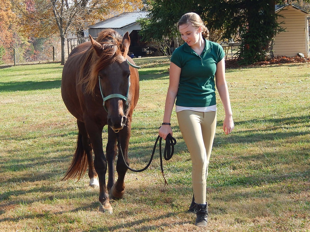 woman guiding a tennessee walking horse