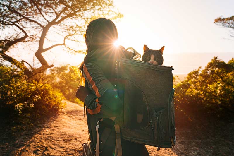 woman walking outdoors while carrying a cat