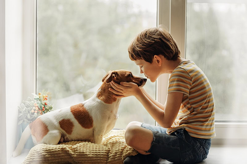 young boy kissing a jack russell terrier dog on its nose
