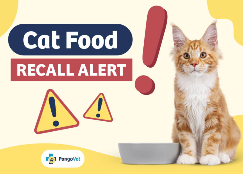 Cat food recall alert