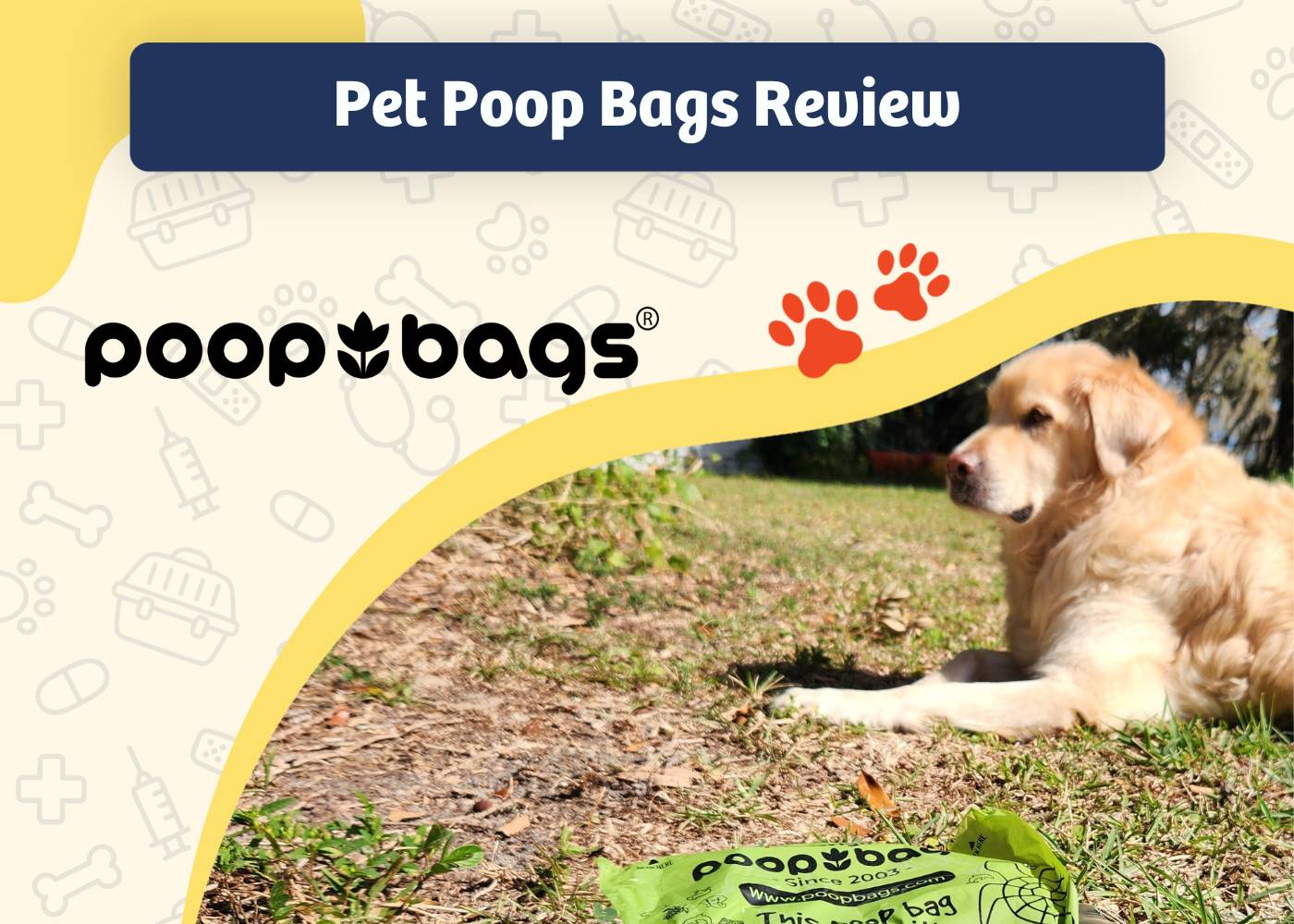 The Original Poop Bags Review 2024: Testing the Eco-Friendly Waste Option with Our Dogs