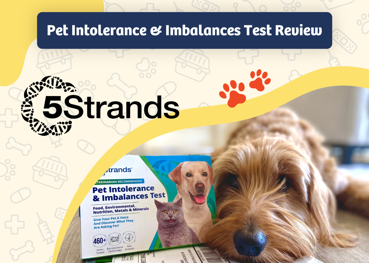 5Strands Pet Intolerances & Imbalances Test Review 2024: At-Home Test Kit