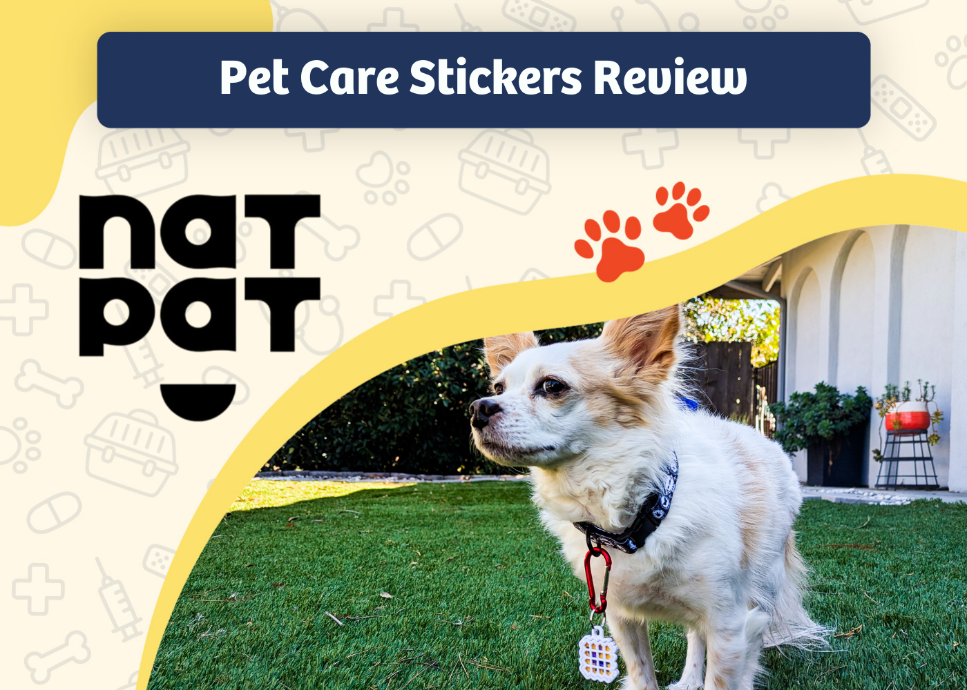 NATPAT Pet Zen & Tick Sticker Review: How They’ve Kept My Dog Stress & Pest Free