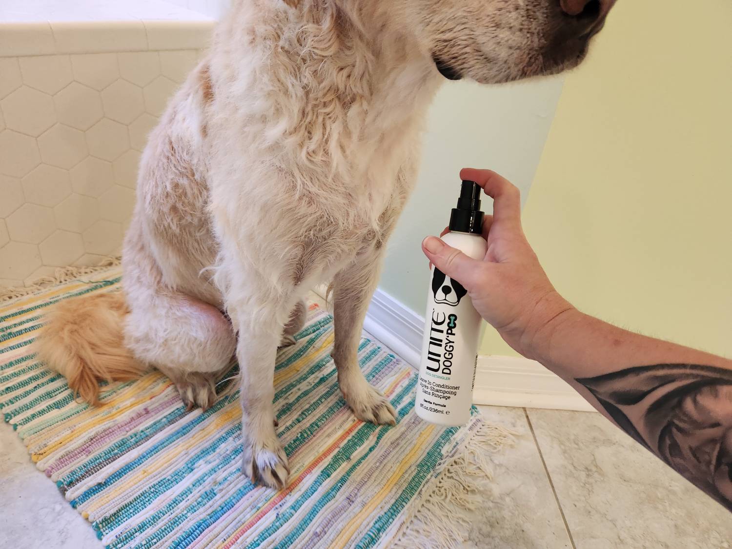 UNITE DOGGY’POO Review - spraying conditioner