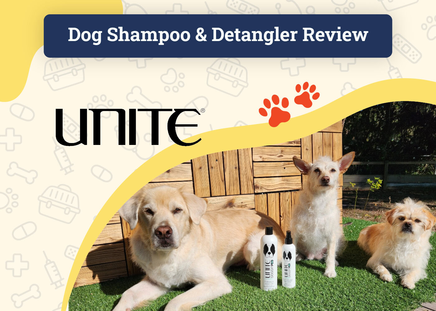 UNITE DOGGY’POO Shampoo & Detangler Review 2025: How Our Dogs Fared With These Superior Pet Products