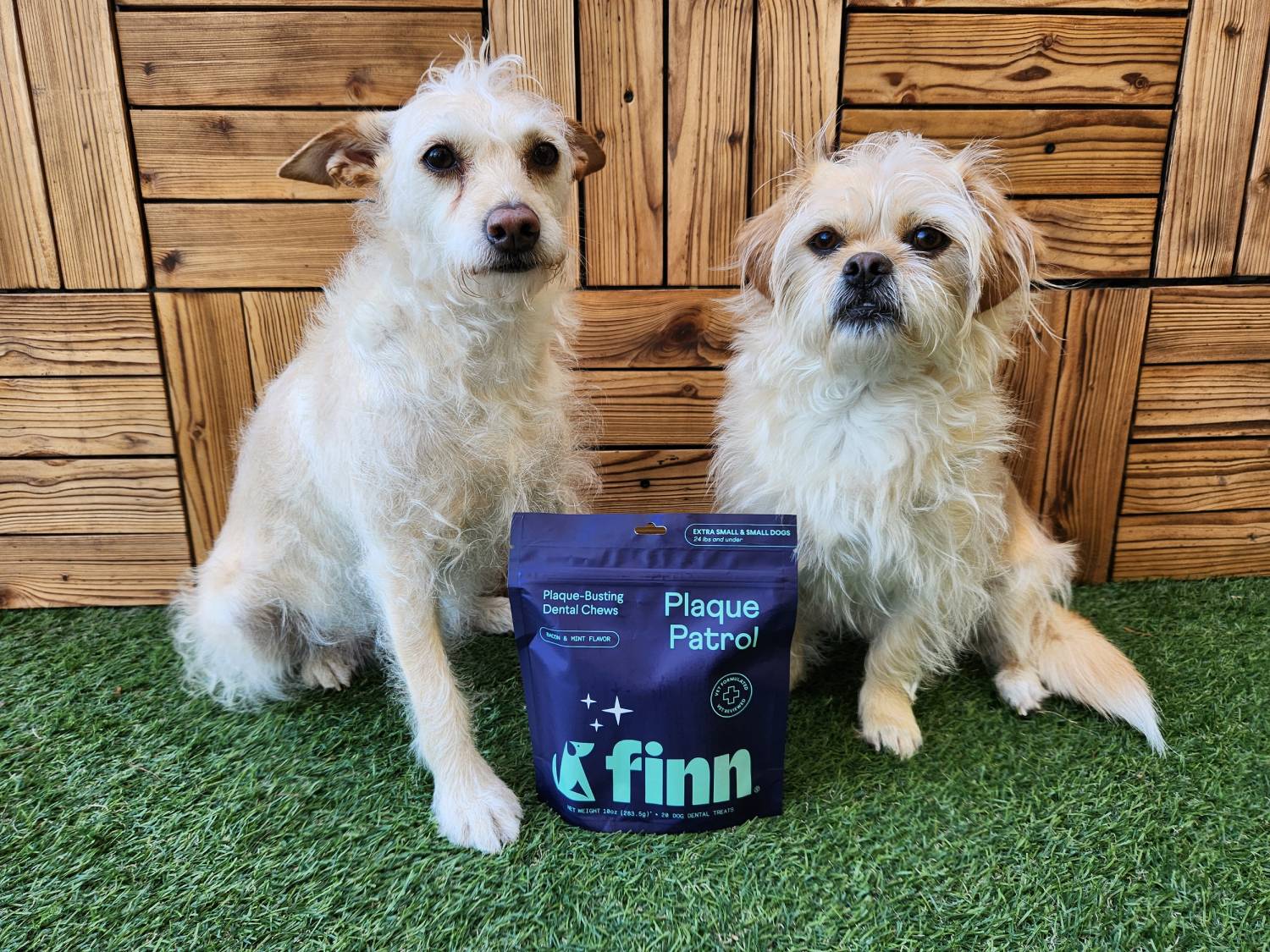 Finn Plaque Patrol Review - product with two dogs