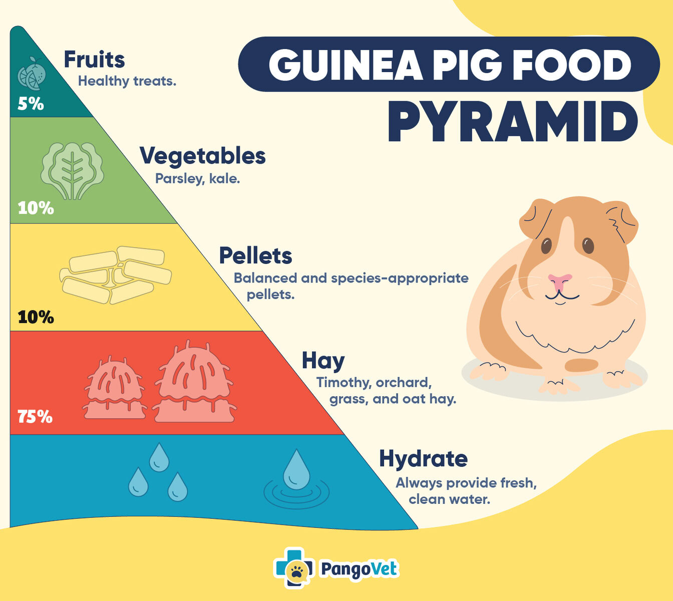 how much should a guinea pig eat