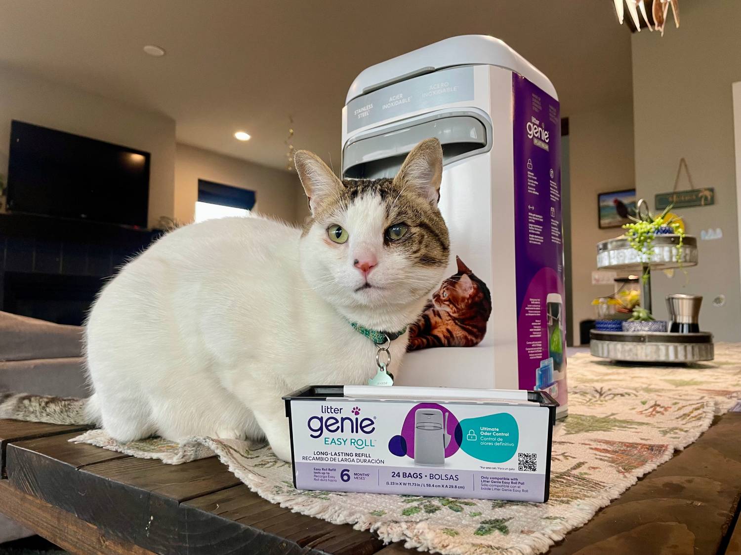 Platinum Cube Review of Litter Genie - Cat With Product At Counter